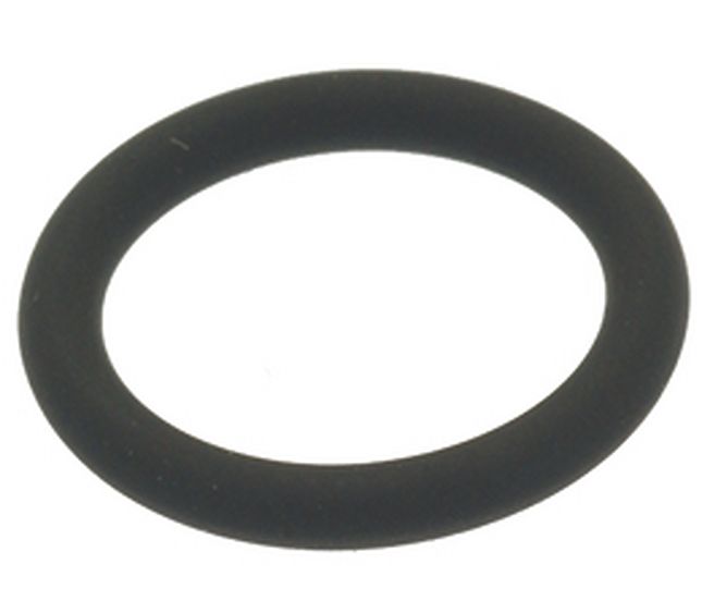 Bezzera / La Spaziale O-ring 0119 FKM