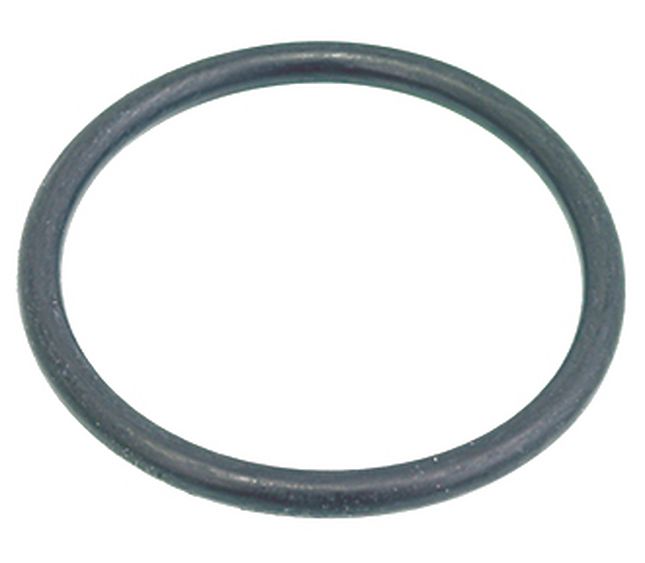Faema O-ring 06250 EPDM