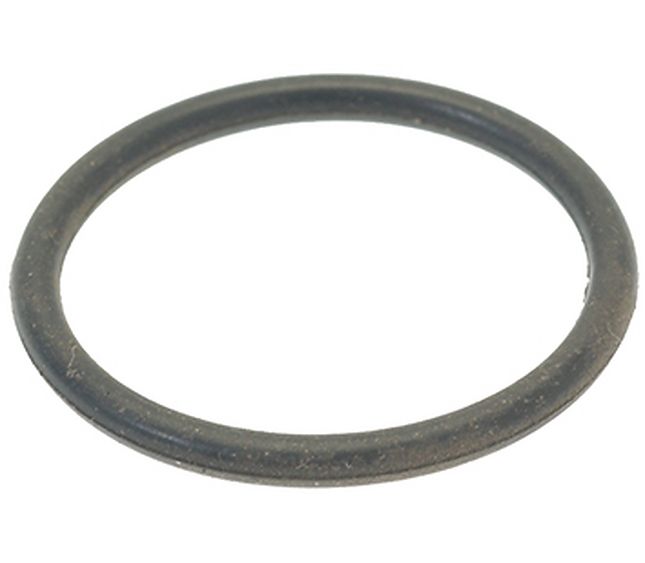 Brasilia / Faema O-ring 03106 EPDM