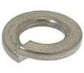 Faema Elastic Washer