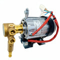 RANCILIO RS1 PUMP ASSEMBLY