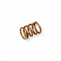 CARIMALI STEAM LAUNCH VALVE SPRING