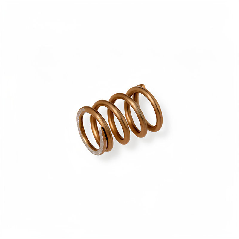 CARIMALI STEAM LAUNCH VALVE SPRING