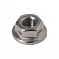 S/S NUT M3 - commercial coffee spare part