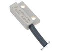 Astoria Magnetic Microswitch Reed NO