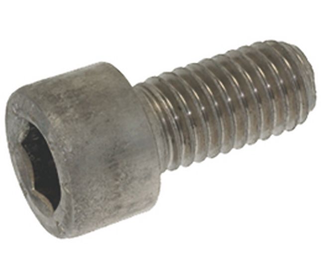 Astoria S/steel Screw T C and I M10x20
