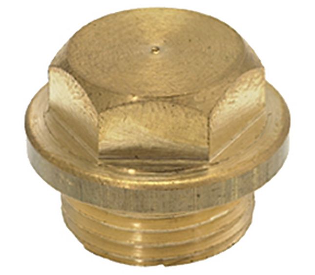 Bezzera / Brasilia Cap Ø 18 MM For Brew Group