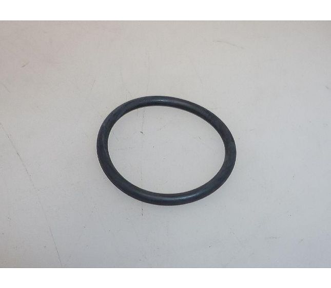 Bezzera Gasket or Filter Pump Fluido-rech
