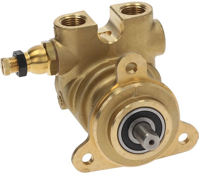 Faema Rotary Vane Pump Rotoflow Ø 3/8 Npt 200L