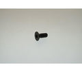 La San Marco Steel Screw 4X10 Tpsce Zinc-plated