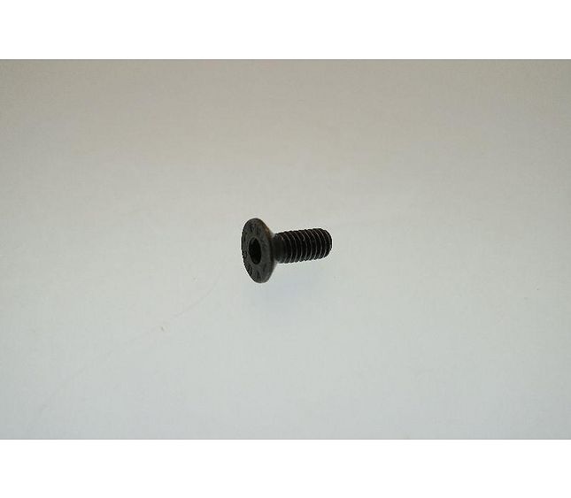 La San Marco Steel Screw 4X10 Tpsce Zinc-plated