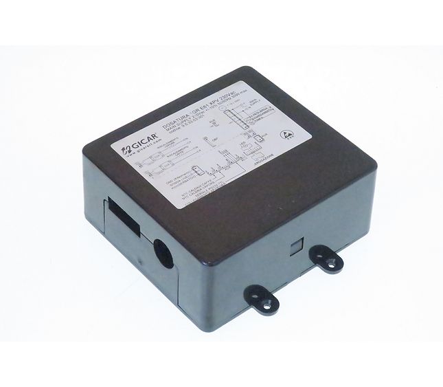Gruppo Izzo Dosing Gest Display+let 2 Sonde 220V