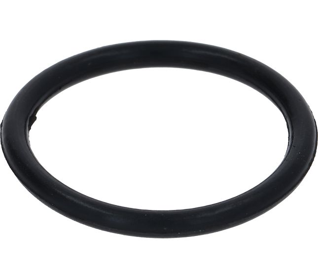 Gruppo Izzo O-ring Ø 42.86X3.53 MM Group Izzo