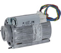 Gruppo Izzo Motor 120W 230V Group Izzo