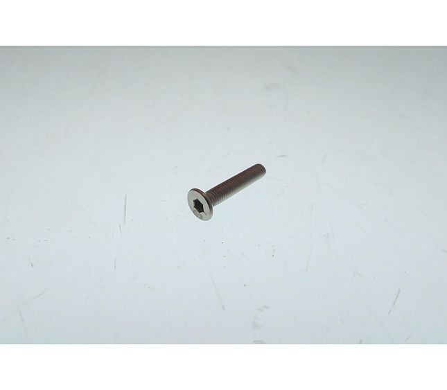 Nuova Simonelli Screw ST Steel M3x16 Tspei Uni 5933