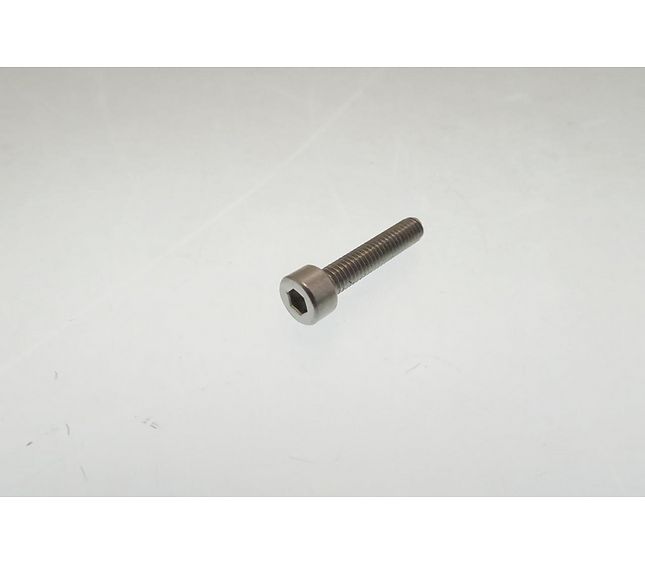 Nuova Simonelli Screw ST Steel M4x20 Tcei Uni 5931