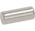 Nuova Simonelli Cylindrical Magnet Ø 4X10 MM
