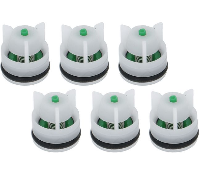Nuova Simonelli Check Valve Kit D 10 6PCS
