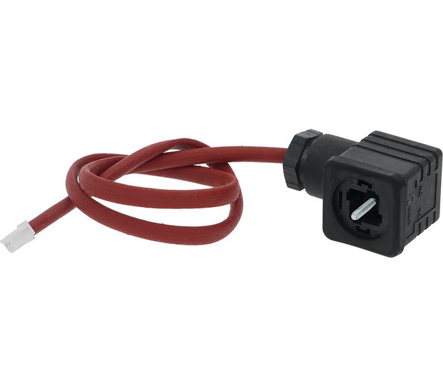 Rancilio Wiring Group/water EV