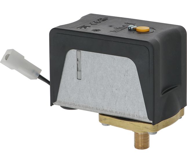 Rancilio Mechanical Pressure Switch Wired P302/6