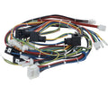 Rancilio Wiring Main 2-group C5 2-group Usb/22