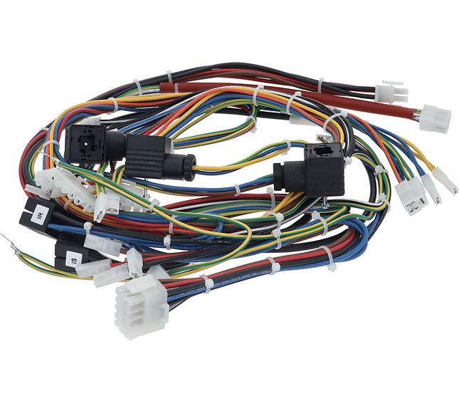 Rancilio Wiring Main 2-group C5 2-group Usb/22