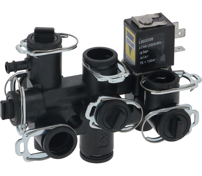 Rancilio Hydraulic Module 2015 230V