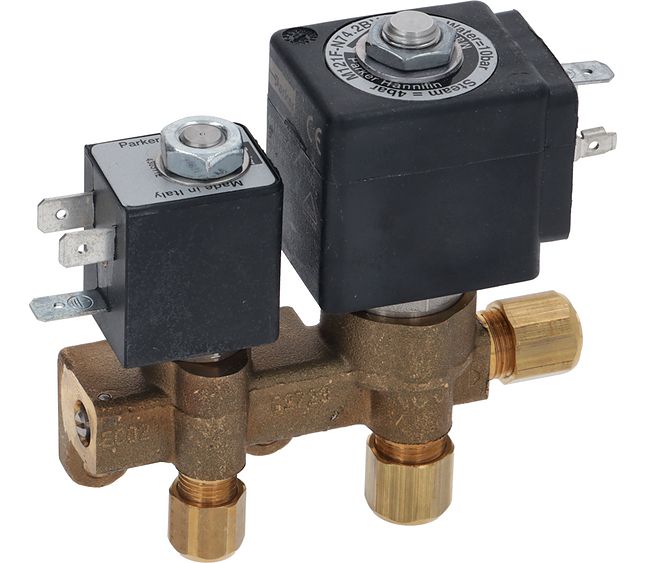 Rancilio Tea Water Mixer 24V Brass