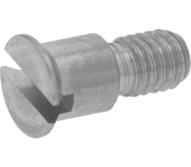 Rancilio Washer Blocking Screw Tall/19