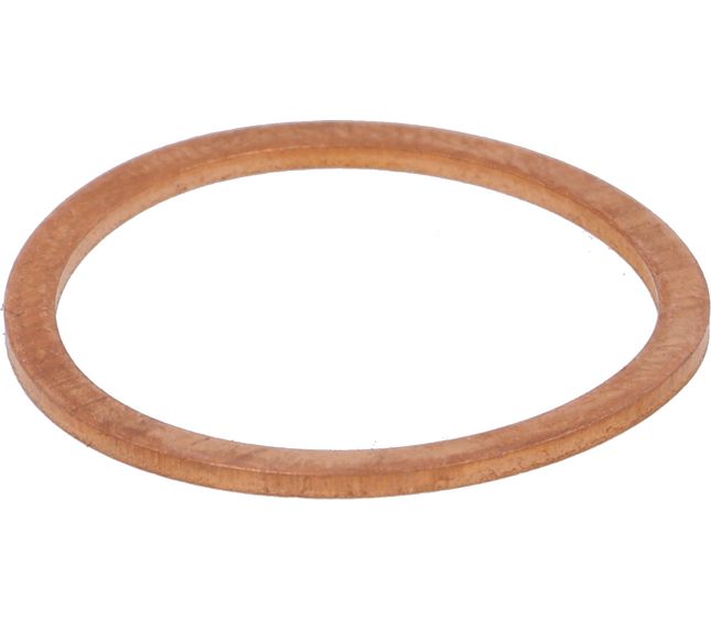 Rancilio Gasket Copper Compass RE Group