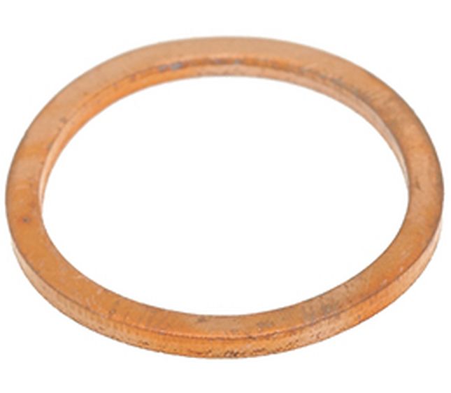 Rancilio Gasket For Brewing Group Cap