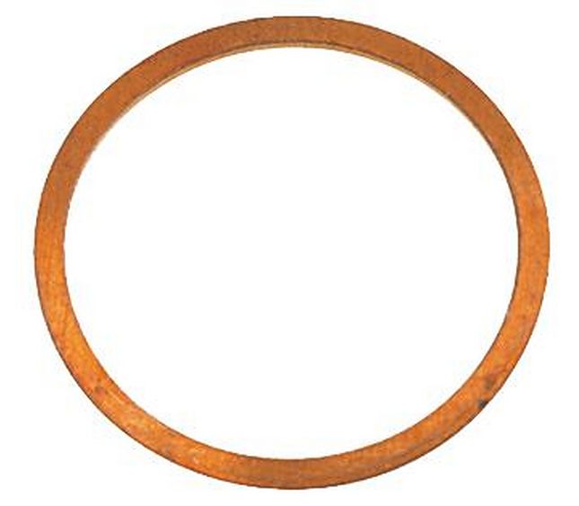 Rancilio Gasket Drain