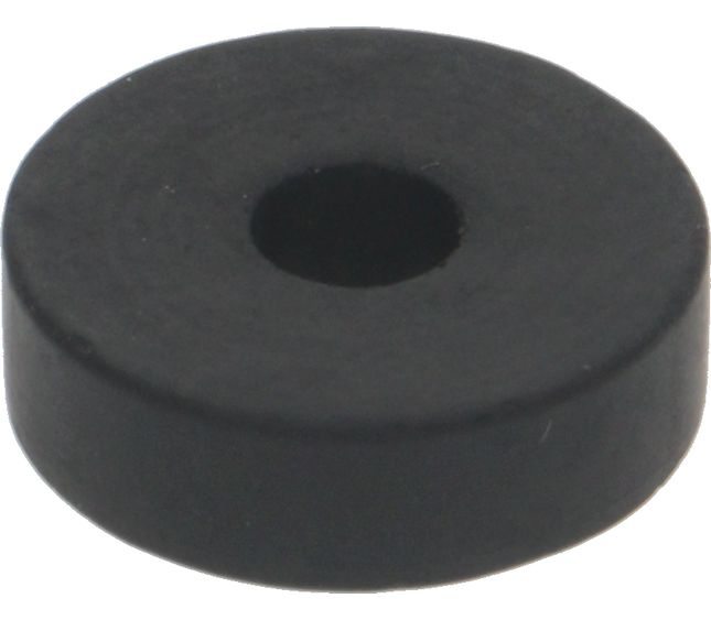 Rancilio Gasket Past Valve