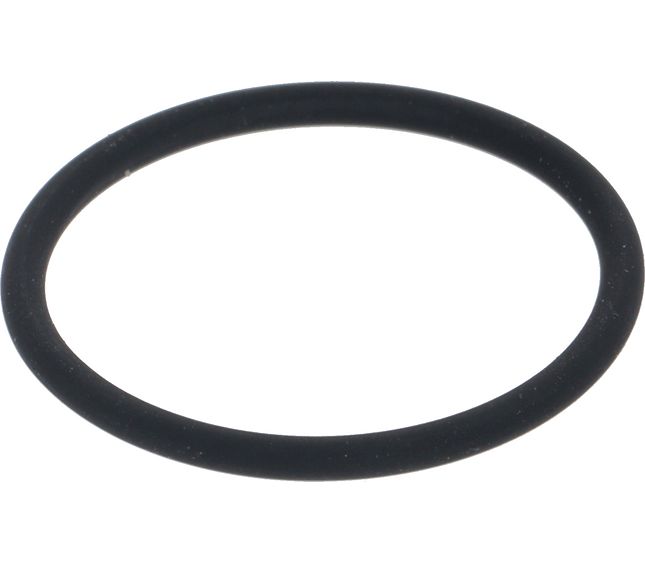 Rancilio O-ring V 2087