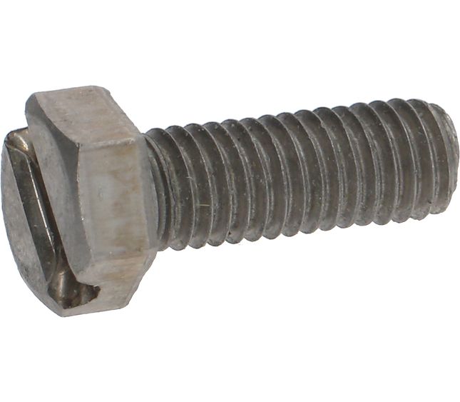 Rancilio Shower Screw