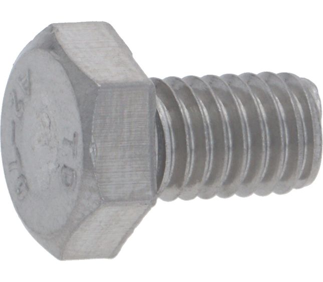 Rancilio Stainless Steel Screw M 6 X 10