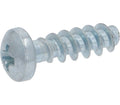 Rancilio Screw 3X10 Tcb Cros PH
