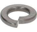 Rancilio Elastic Washer D 6
