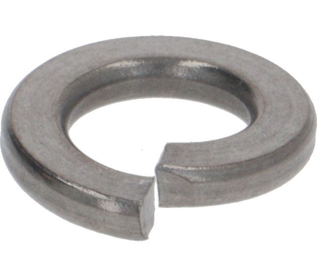 Rancilio Elastic Washer D 6