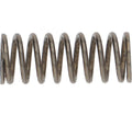 Rancilio Caffita Spring