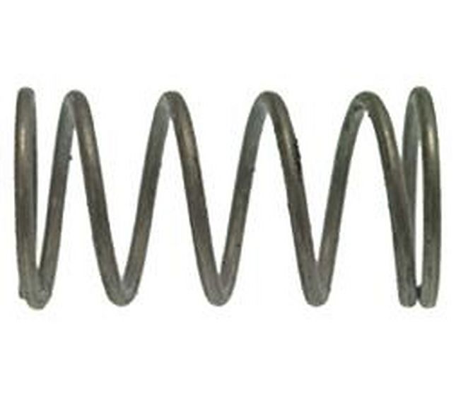 Rancilio Cap Spring