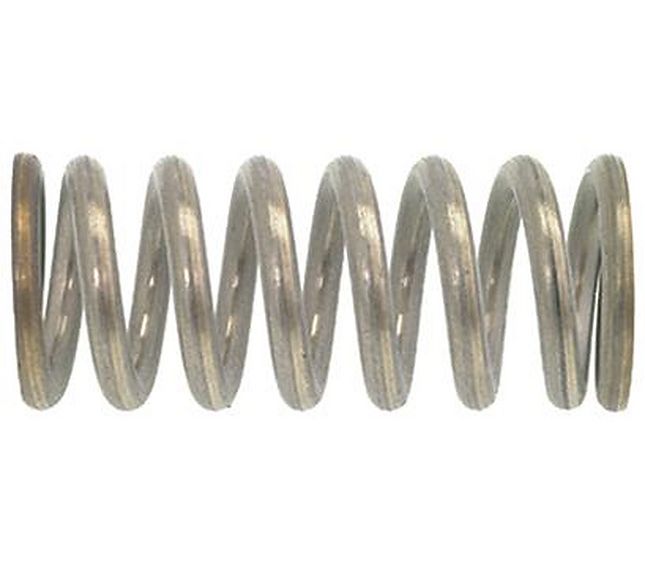 Rancilio Return Valve Spring