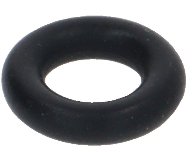 Rancilio O-ring For Gigleur