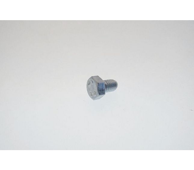 Sanremo Screw TE M5x8 ZN Uni 5739