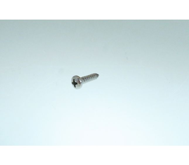 Victoria Arduino SS Self-tapping Cross Head Cap Screw