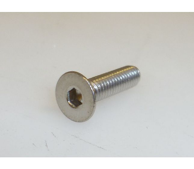 Victoria Arduino S/s Hexagon Socket CS FH Cap Screw M4x16
