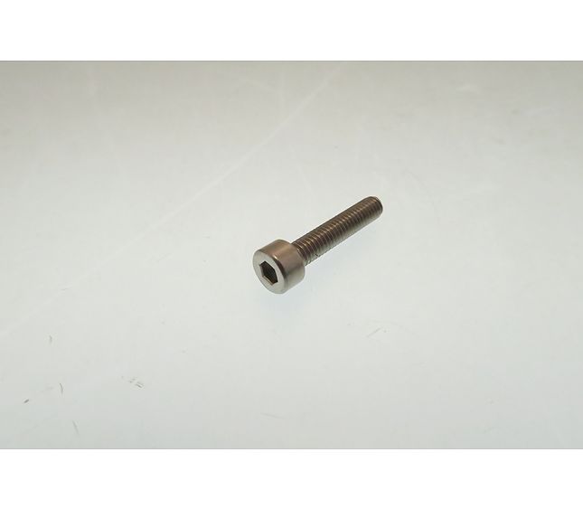 Victoria Arduino S/s Screw M4x20 Uni 5931