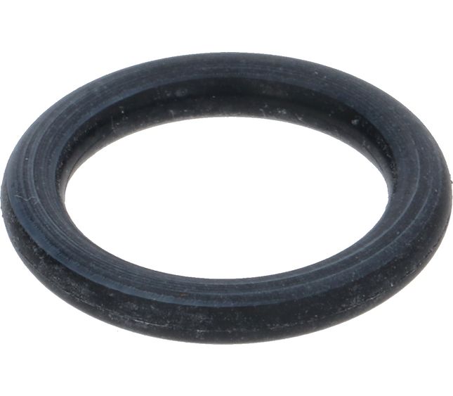 Victoria Arduino O-ring R11