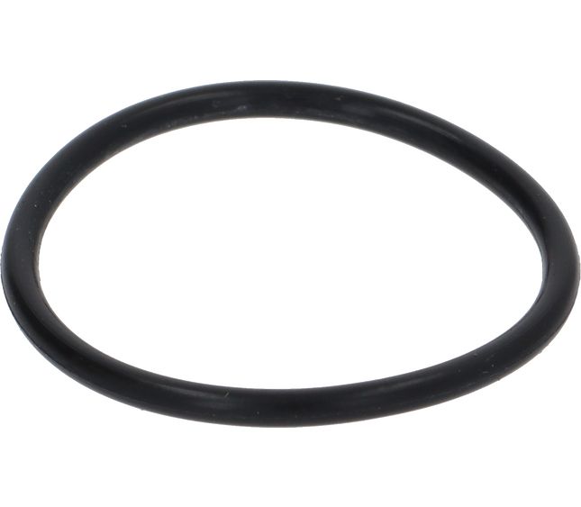 Victoria Arduino O-ring 02093 Viton