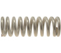 Bezzera Lever Group Spring